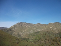 nte Mojo-30122011 089